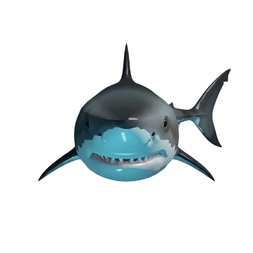 Pet Shark 3D Great White shark model